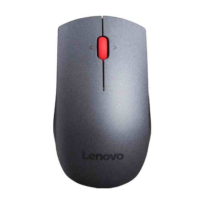 Lenovo Professional Wireless Laser Mouse