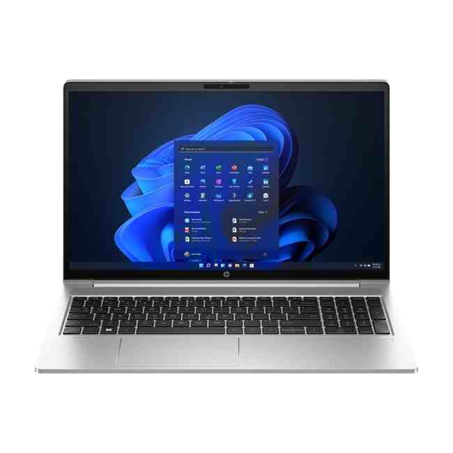 HP ProBook 455 G10 725K2EA
