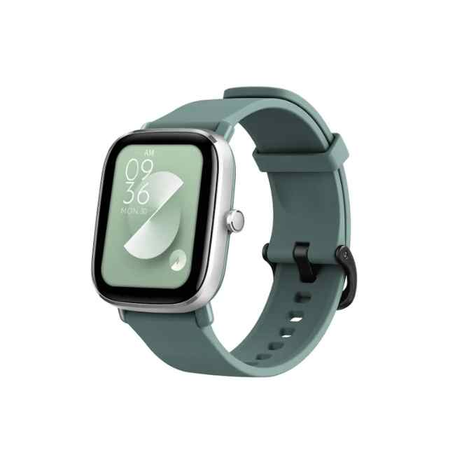 Смарт часы Amazfit GTS 2 mini Sage Green